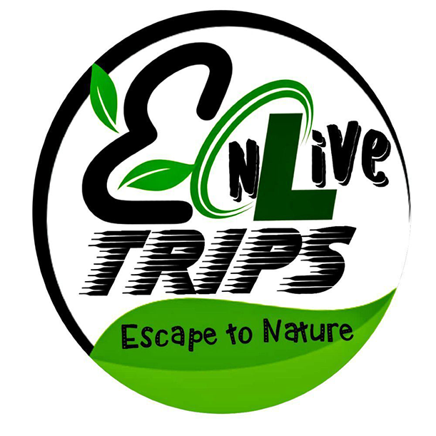 EnliveTrips logo