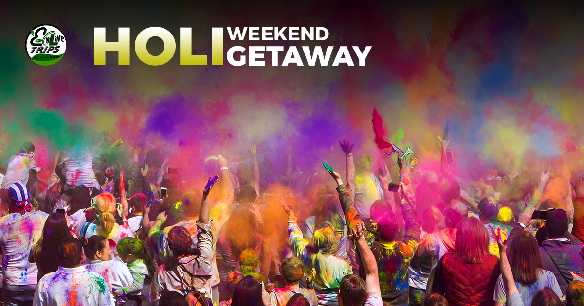 Holi Special Tour Package: Where to Go, What to Do & How to Plan