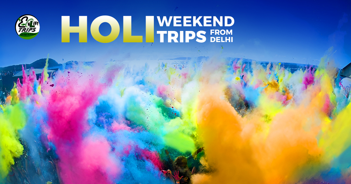 Holi Special Tour Package: Where to Go, What to Do & How to Plan