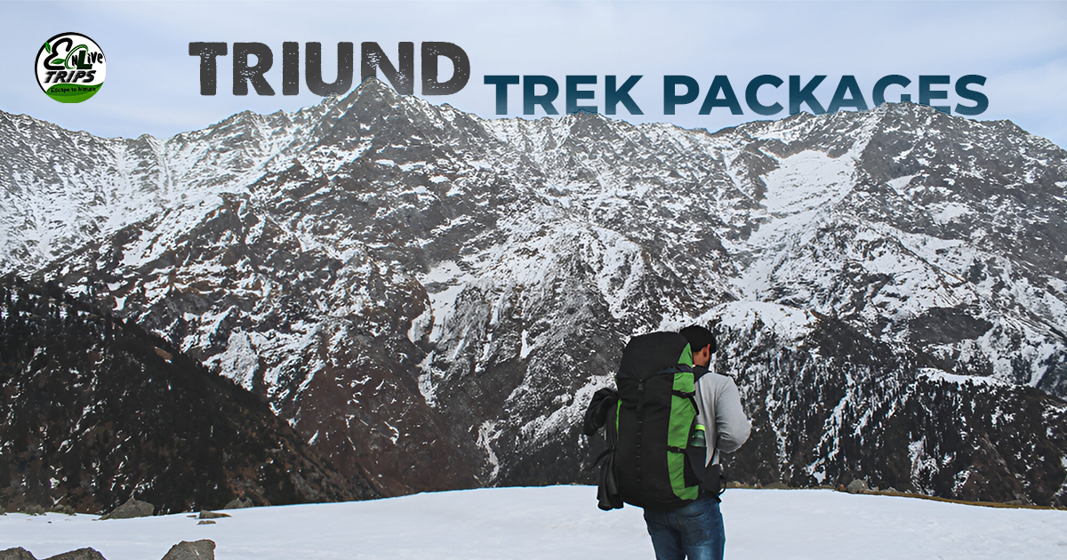 New year trips - Mcleodganj Triund Trek in December, January, and February