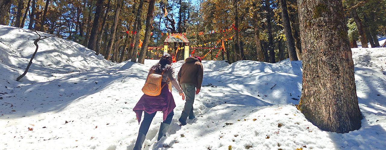 Auli Joshimath Holi Special Trip