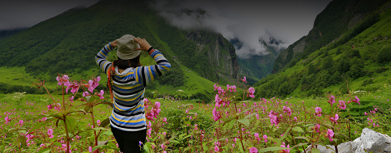 Valley of Flowers Package from Delhi