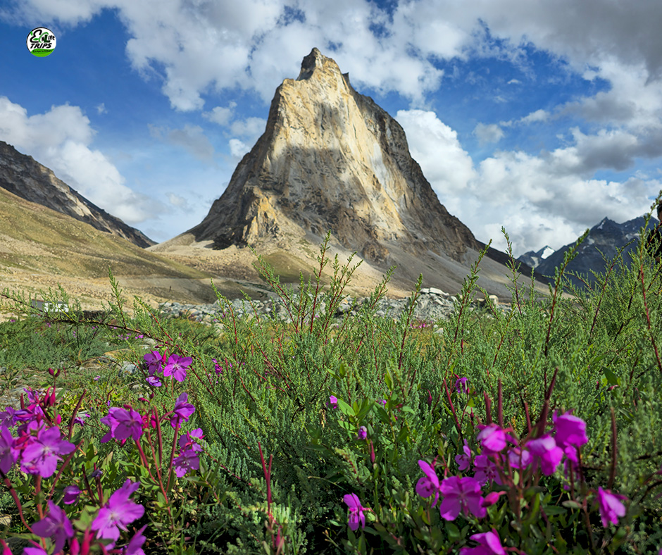 Zanskar Expedition 1