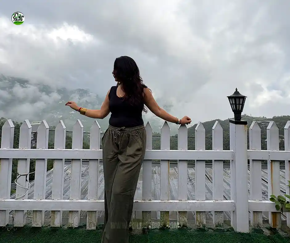 Dhanaulti & Mussoorie tour